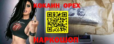 сатива Можга