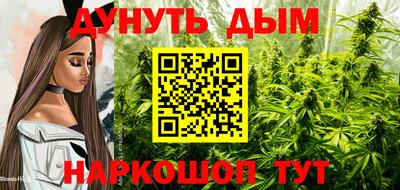 гашик Можайск