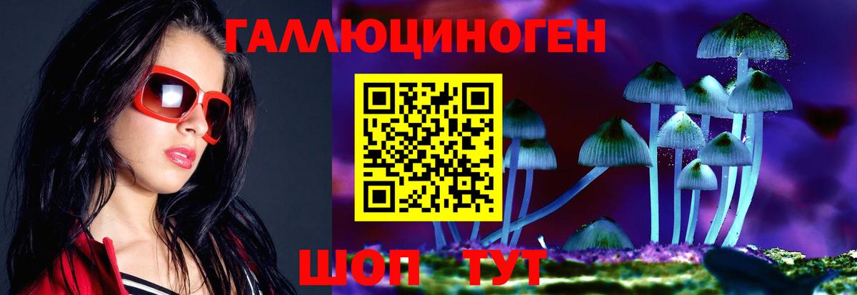 Псилоцибиновые грибы GOLDEN TEACHER Берёзовский